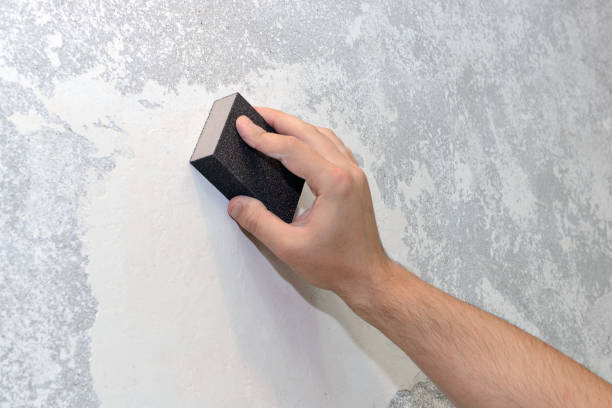 Environmental Consulting for Mold Prevention in Green Forest, AR