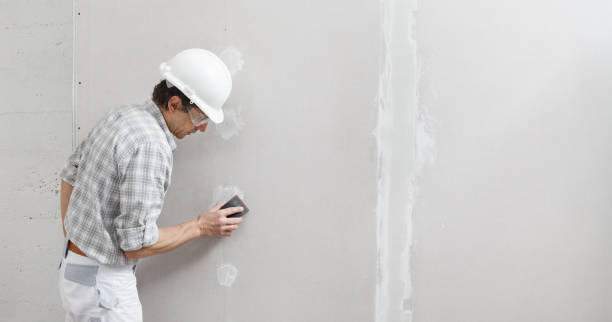 Best Attic Mold Removal  in Green Forest, AR