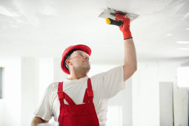 Best HVAC Mold Inspection and Cleaning  in Green Forest, AR